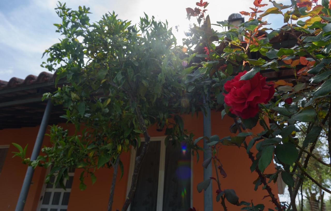Villa Helen'S House Igoumenitsa Exterior foto